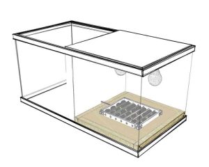 Incubator for Eggs PDF