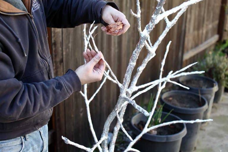 How to Make a DIY Fairy Light Tree with String Lights TheDIYPlan