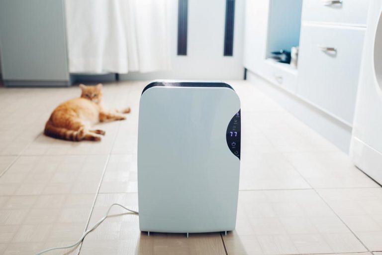 5 Best Whole House Dehumidifiers in 2023 TheDIYPlan