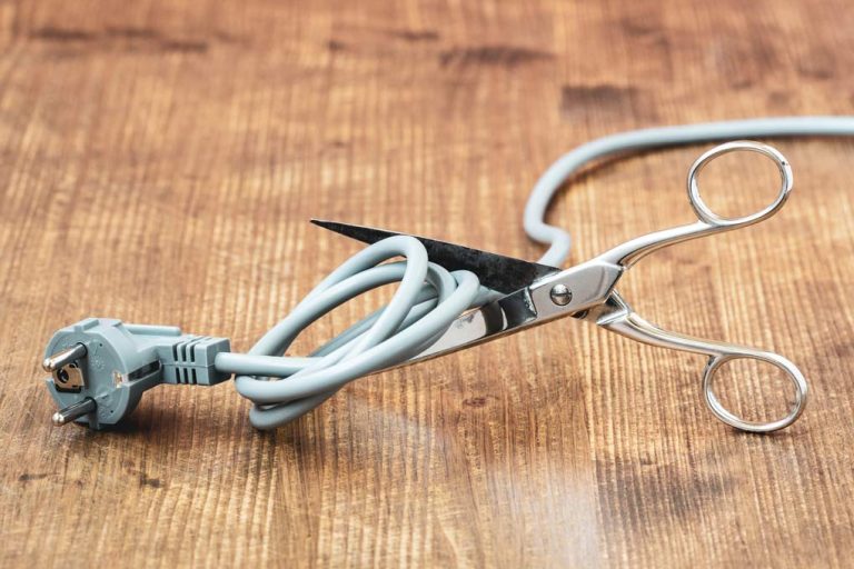 Can I Use Scissors Instead of Wire Cutters? TheDIYPlan