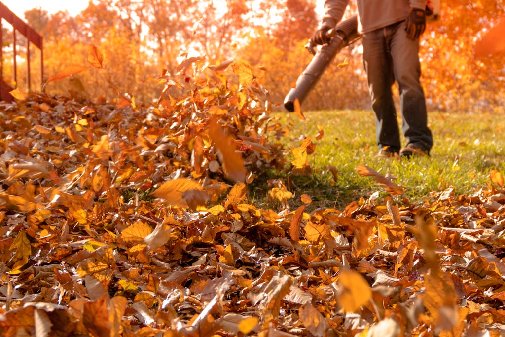 Does A Leaf Blower Work On Grass TheDIYPlan Does A Leaf Blower Work On Grass TheDIYPlan